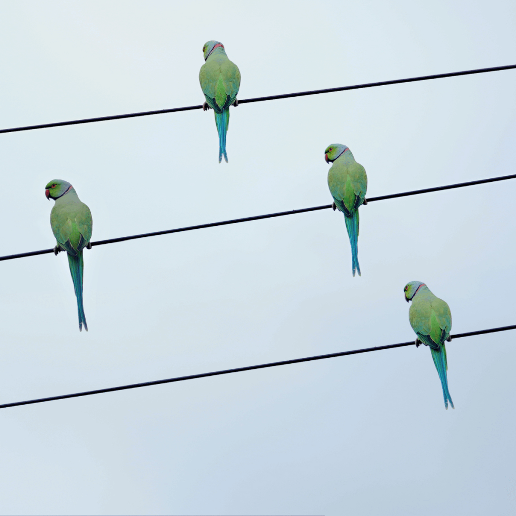 Votre environnement encourage-t-il votre croissance&nbsp;?