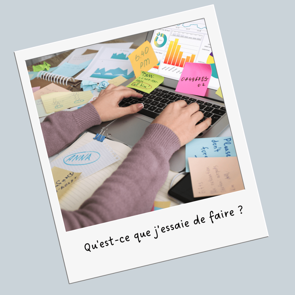 « Qu&rsquo;est-ce que tu essaies de faire ?&nbsp;»